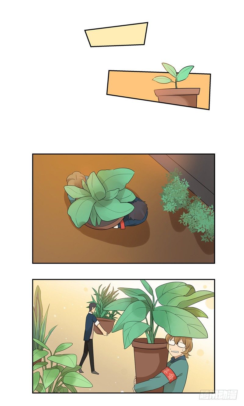 第024话 花丛中来个合照-第25话