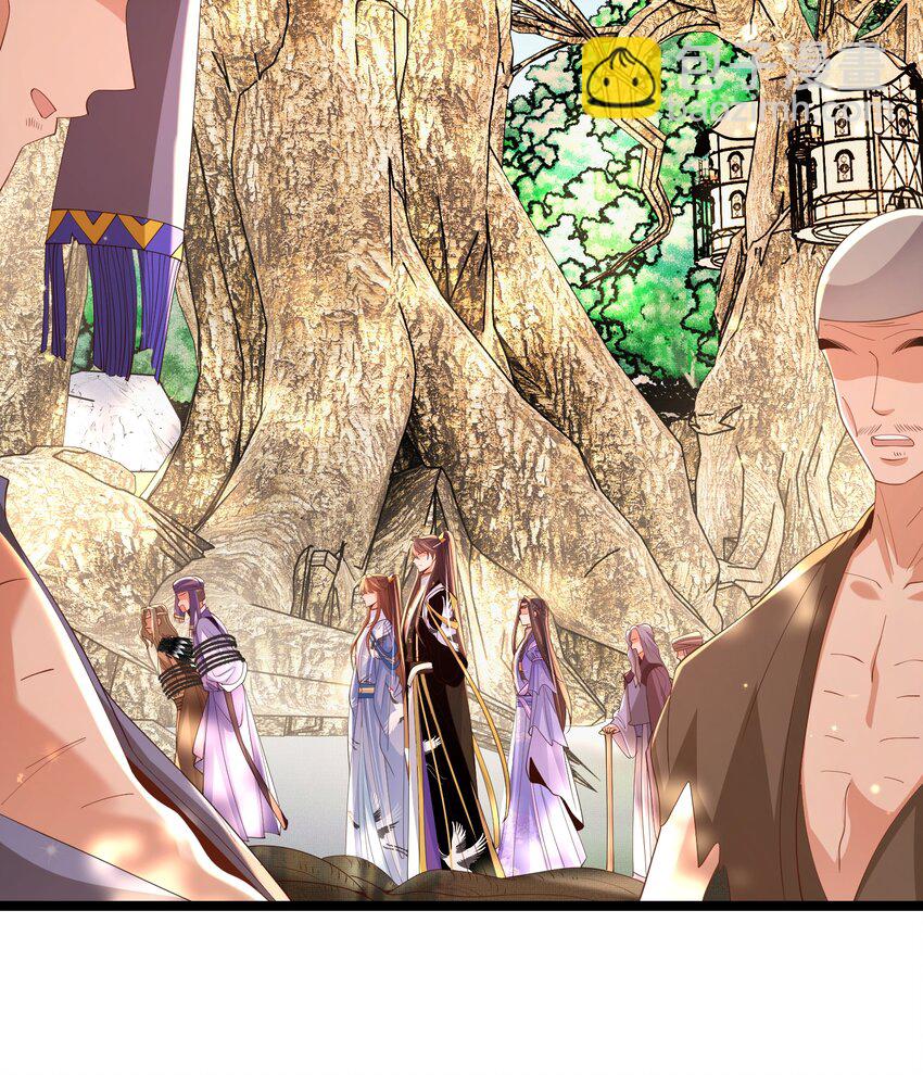 第143话 收回神谕我看行(1/2)-第147话