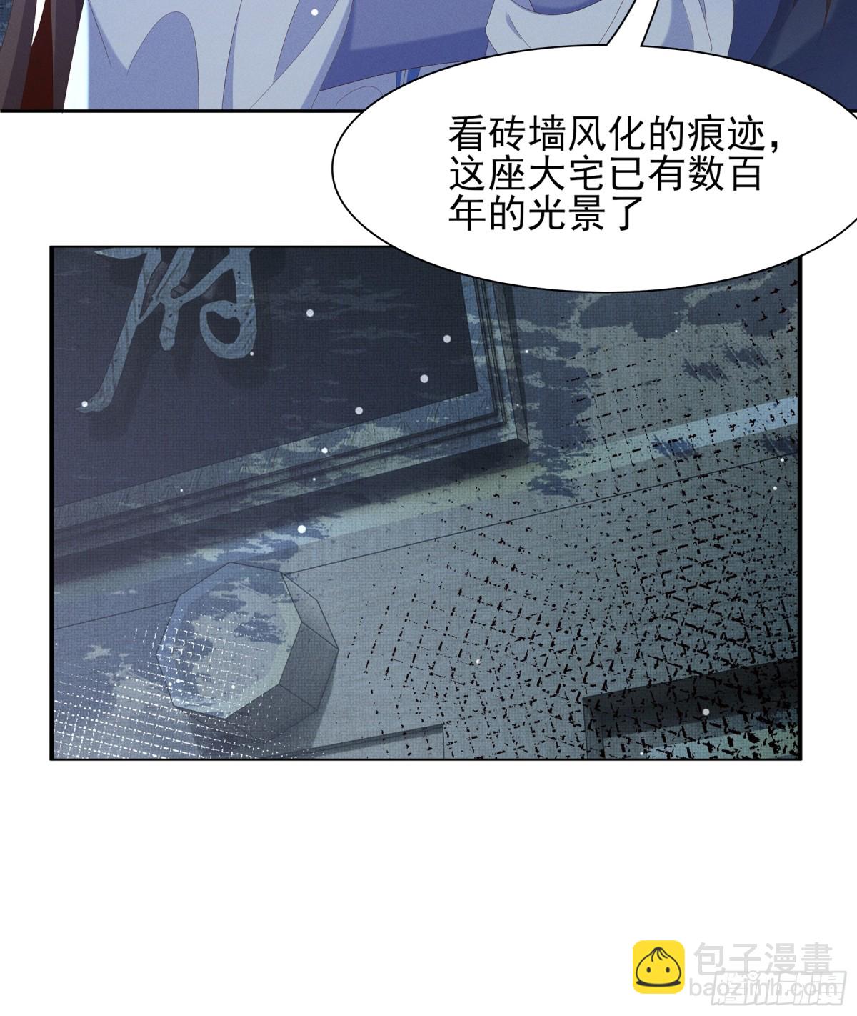 第208话 本王妃亲自去调查-第215话