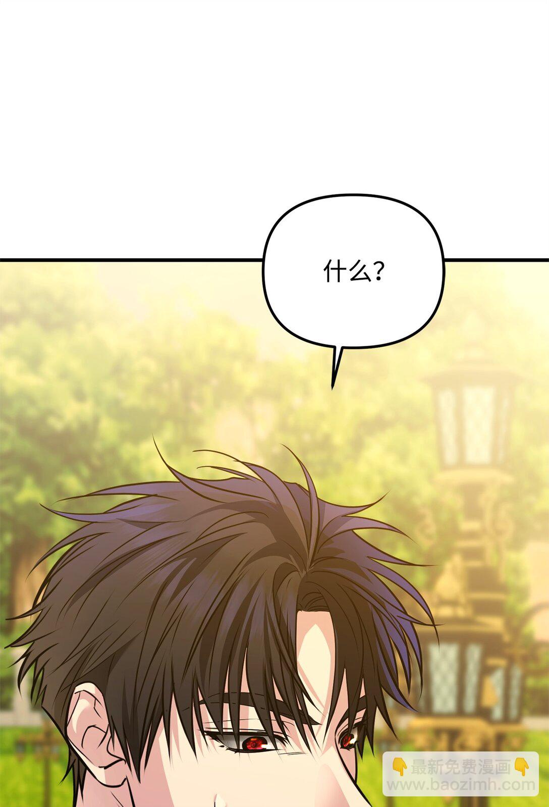 33 公爵的秘密(1/3)-第33话