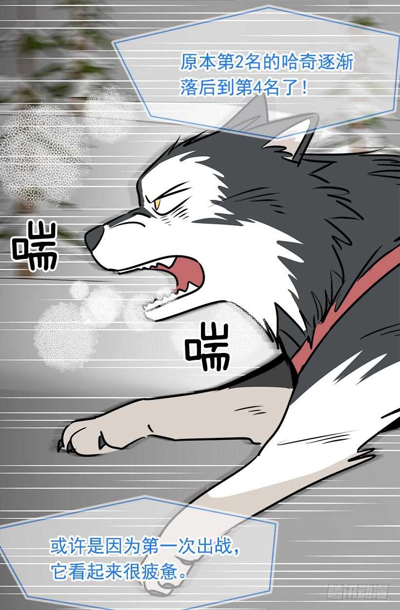 被廢棄的皇妃 - 來得及 - 4