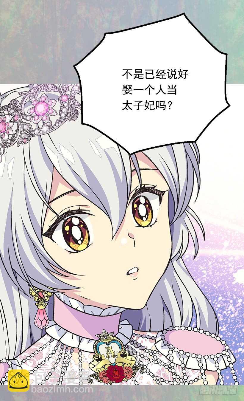 被廢棄的皇妃 - 黑幕 - 5