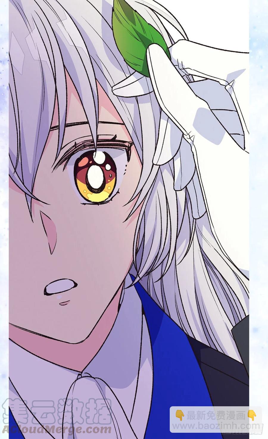 被廢棄的皇妃 - 那朵銀色的花 - 6