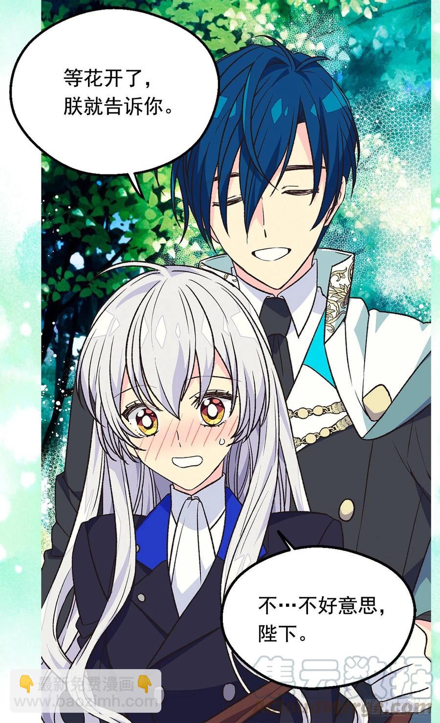 被廢棄的皇妃 - 那朵銀色的花 - 2