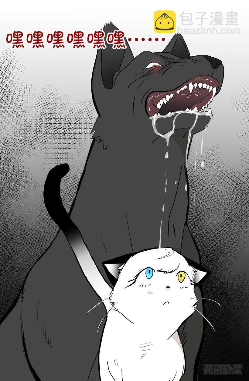 被廢棄的皇妃 - 她們想當皇妃 - 5