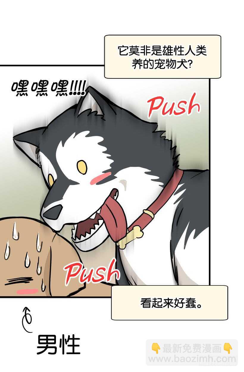 被廢棄的皇妃 - 她們想當皇妃 - 4