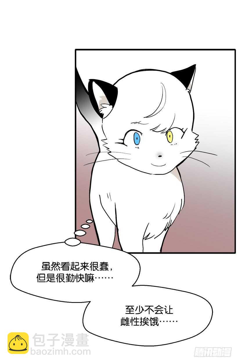 被廢棄的皇妃 - 她們想當皇妃 - 3