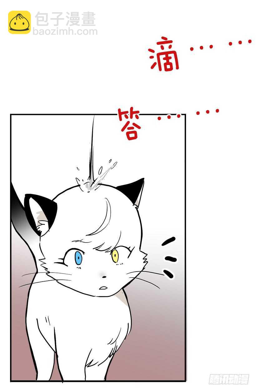 被廢棄的皇妃 - 她們想當皇妃 - 4