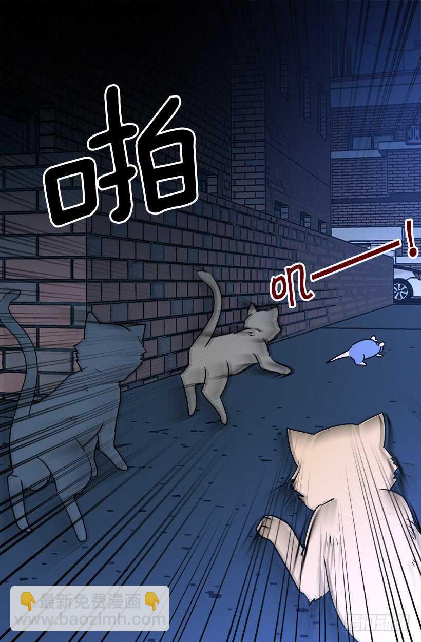 被廢棄的皇妃 - 何去何從 - 1