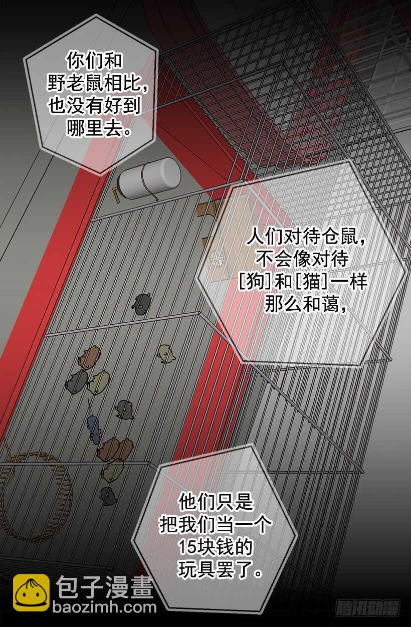 被廢棄的皇妃 - 這是給你的 - 3