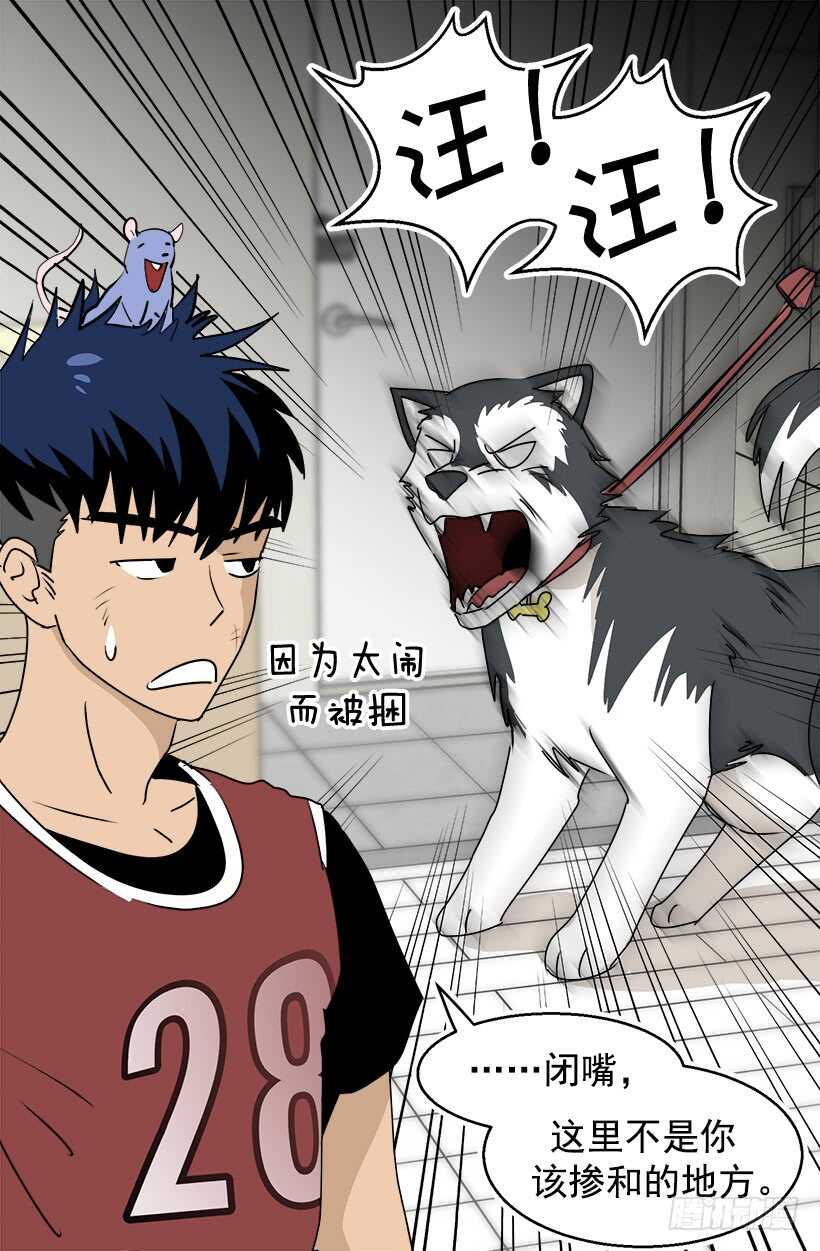 被廢棄的皇妃 - 有種距離感 - 2