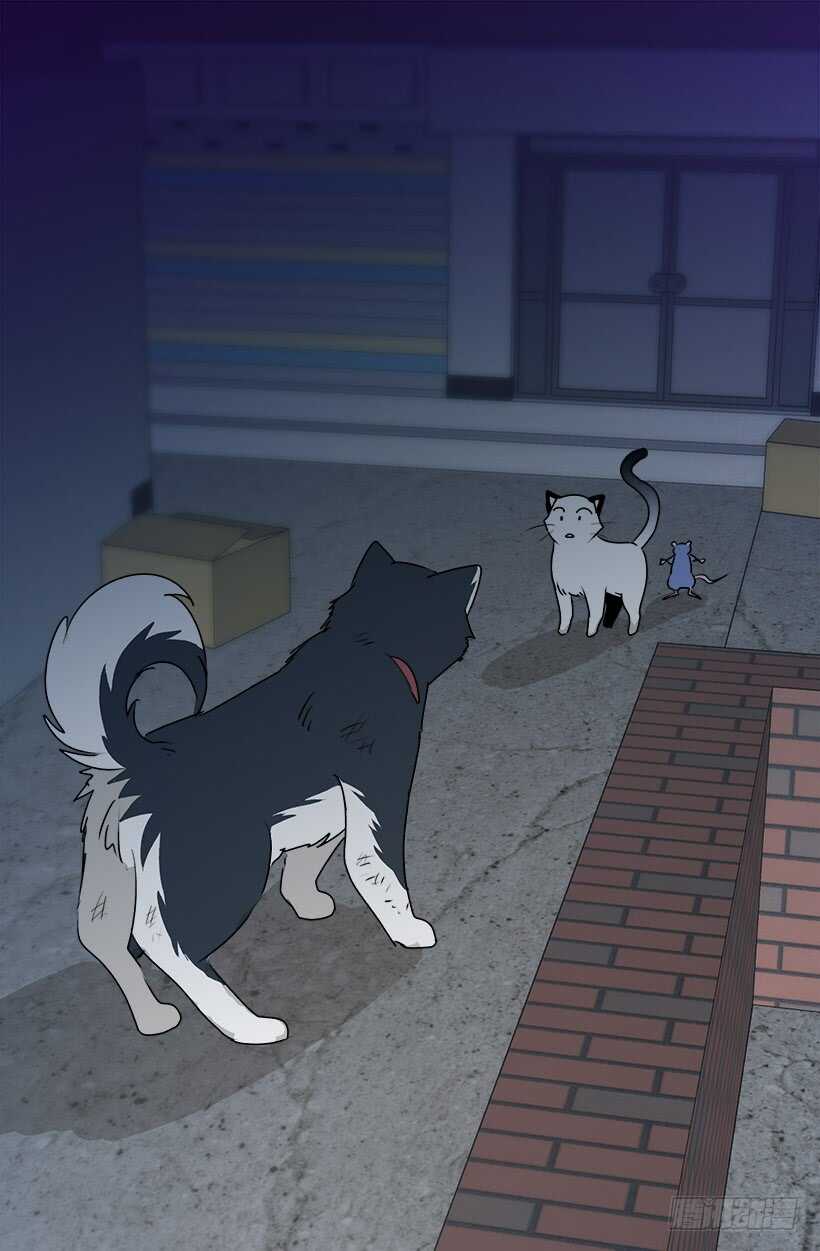 被廢棄的皇妃 - 準備周全 - 3