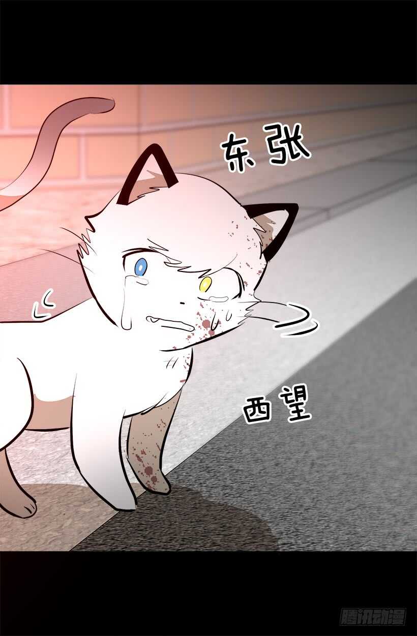 被廢棄的皇妃 - 我有話要說 - 3