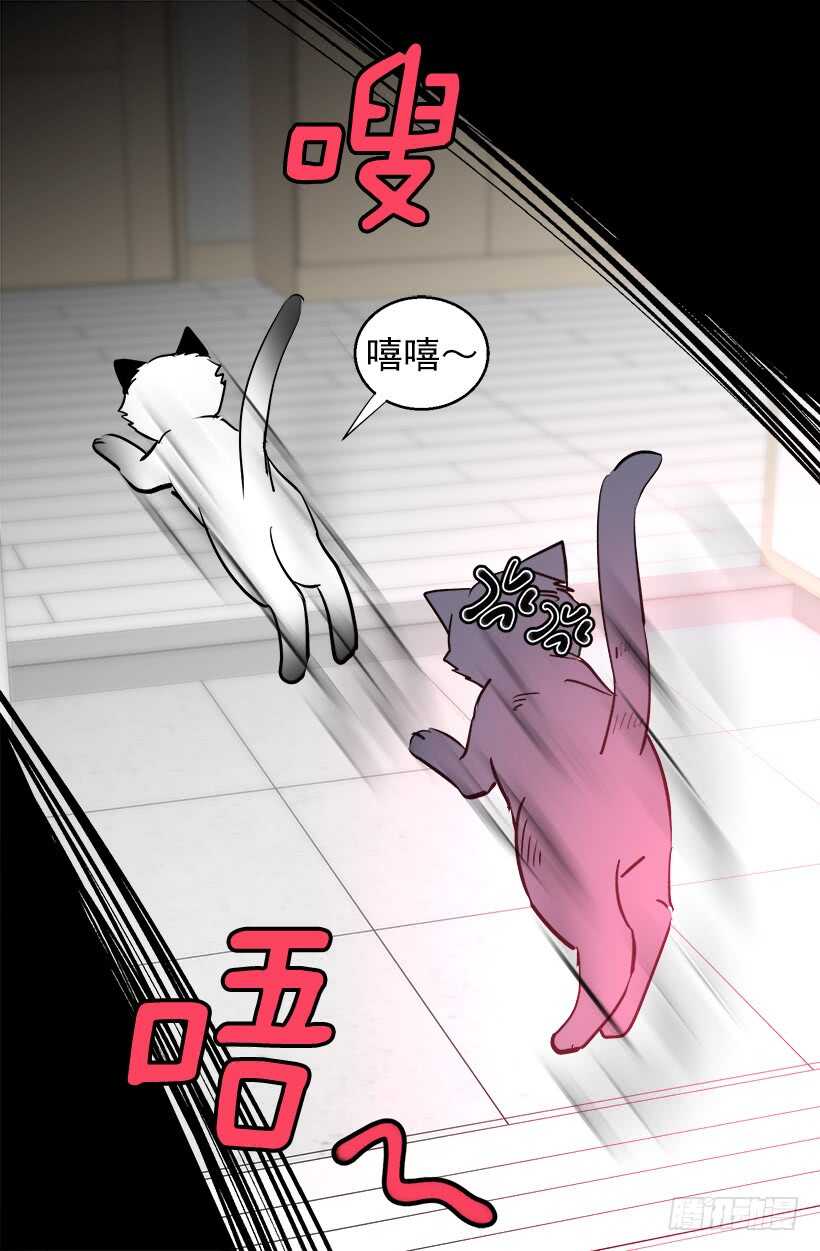 被廢棄的皇妃 - 太子迴歸 - 5