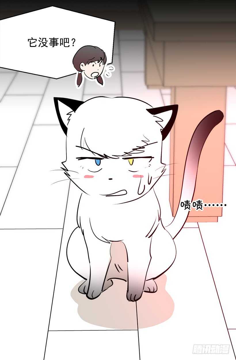 被廢棄的皇妃 - 太子迴歸 - 4