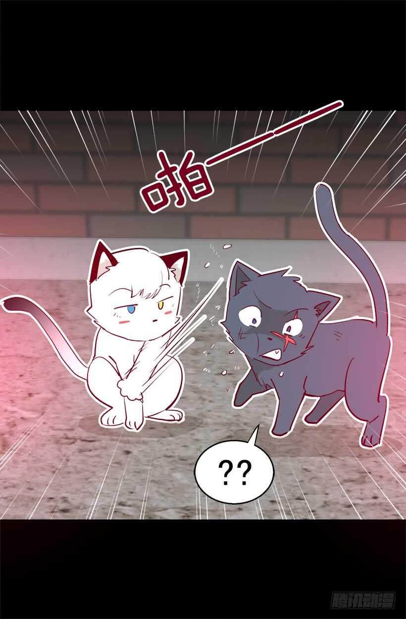 被廢棄的皇妃 - 太子迴歸 - 2