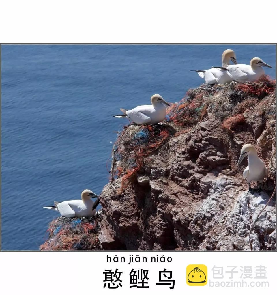被海洋垃圾污染後的小美人魚 - 第54話 - 1