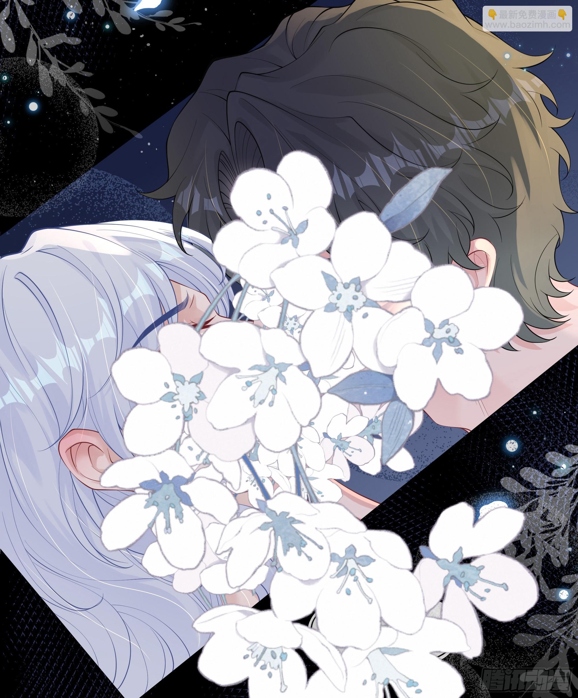 第38话 二选一（第一季完）(1/2)-第47话