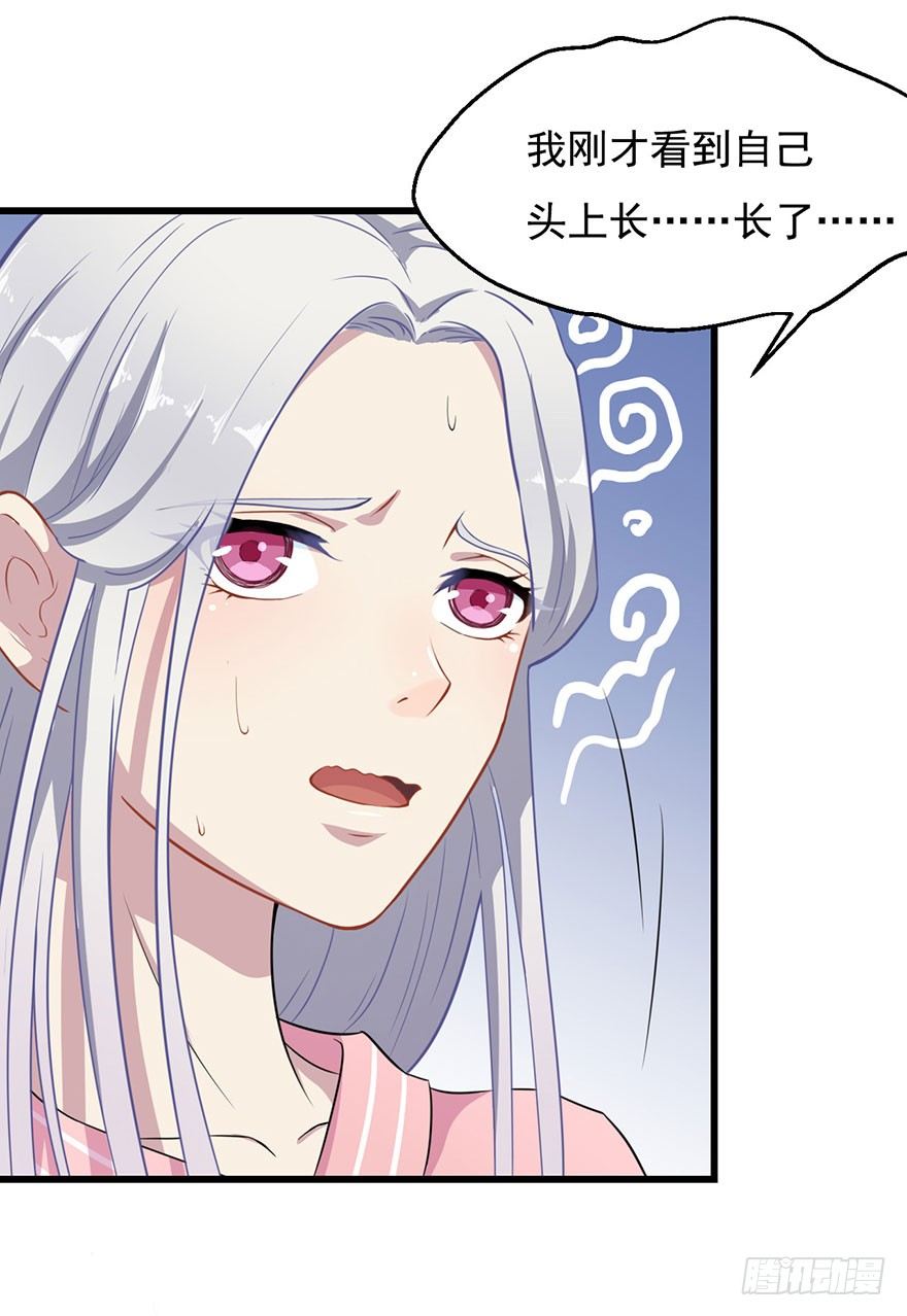 002魅兽血统(1/2)-第3话