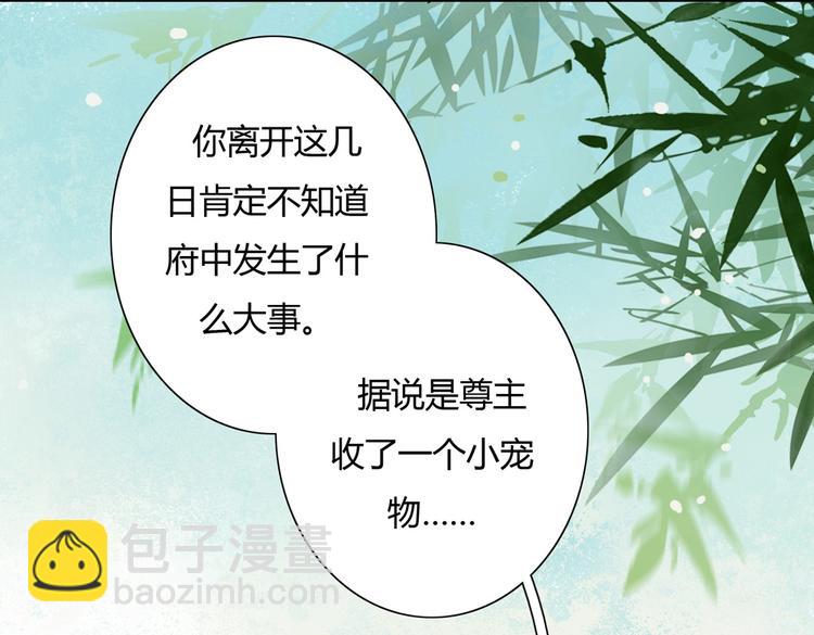 第11话 原来兔子急了真的会咬人(1/2)-第11话