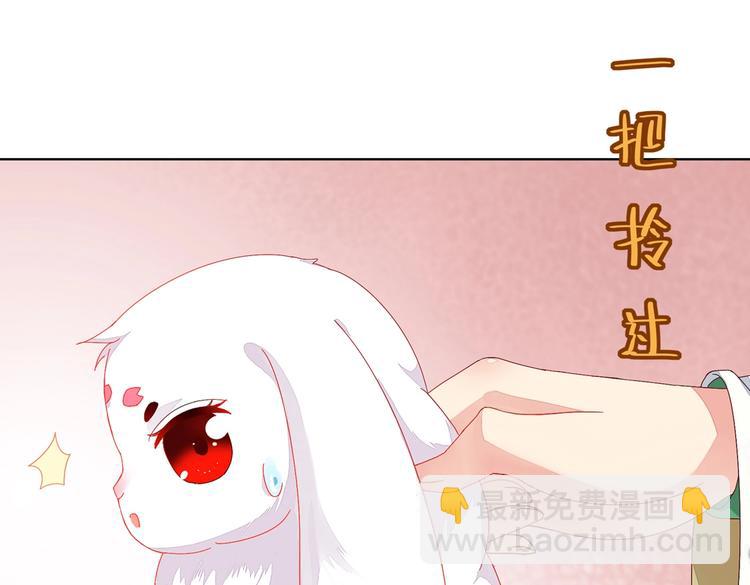 第11话 原来兔子急了真的会咬人(1/2)-第11话