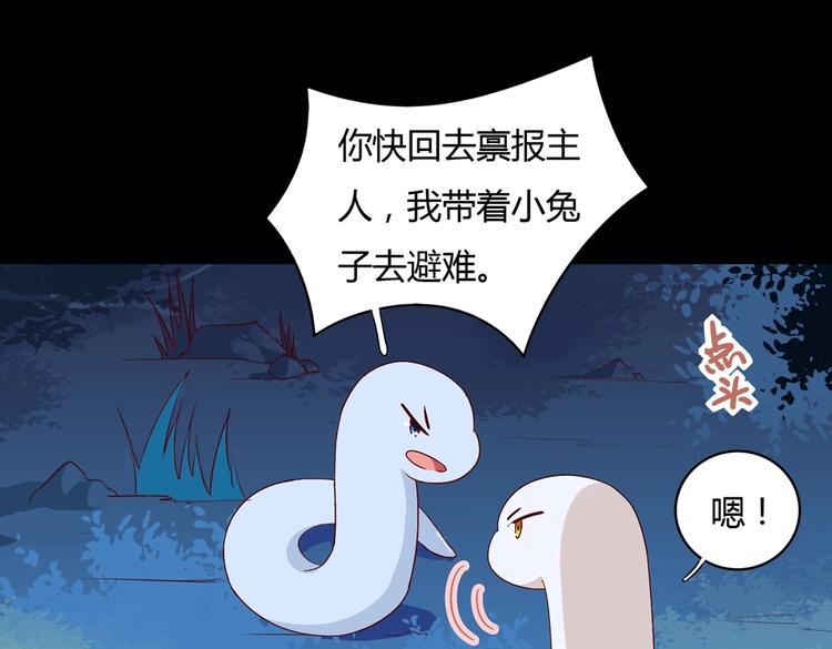 第19话 逃跑的小兔兔(1/2)-第19话