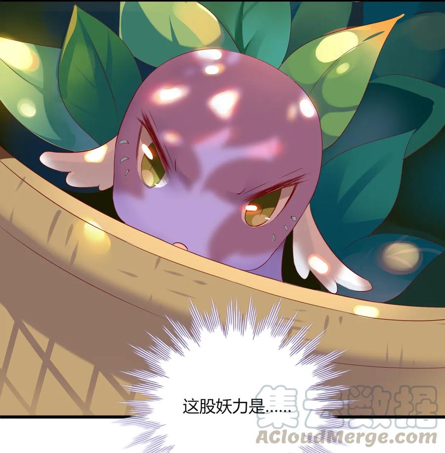 第201话 女人，给我躲好了-第201话