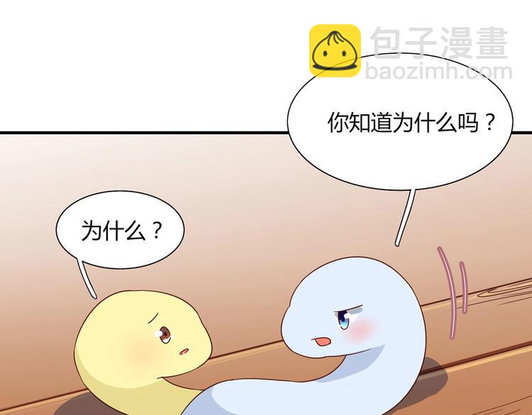 第25话 尊主月要圆啦！！！(1/2)-第25话