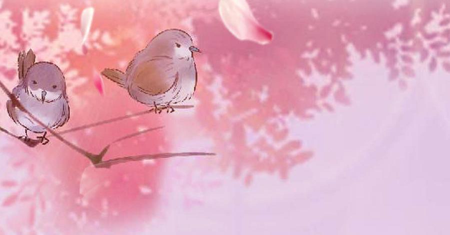 第57话 兔兔难道要开窍啦？-第57话