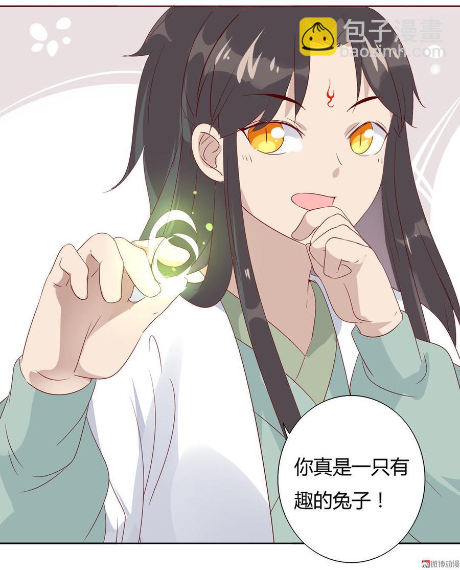 第89话 以后养只兔兔-第89话