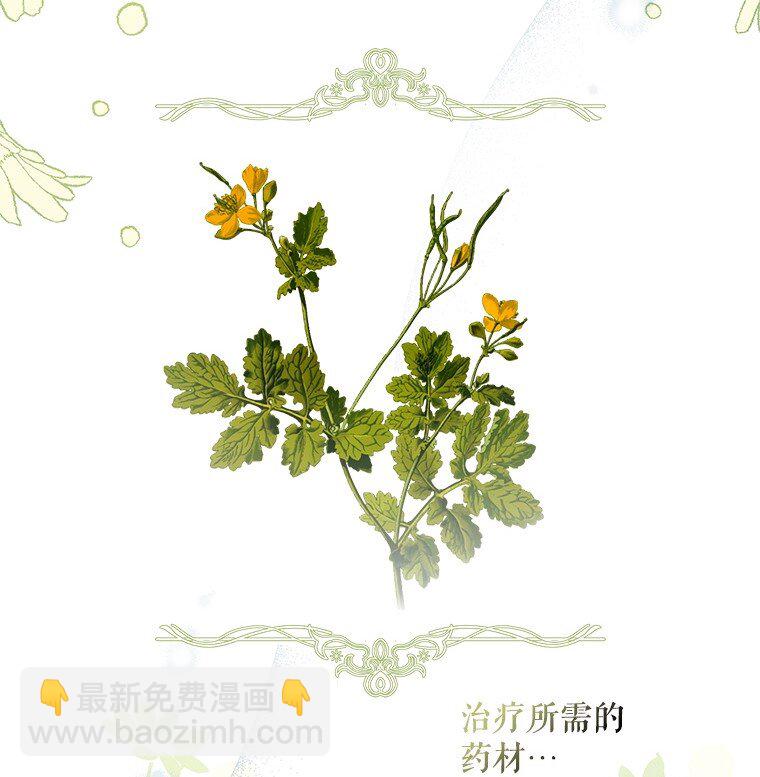 9. 重逢旧识(1/2)-第9话