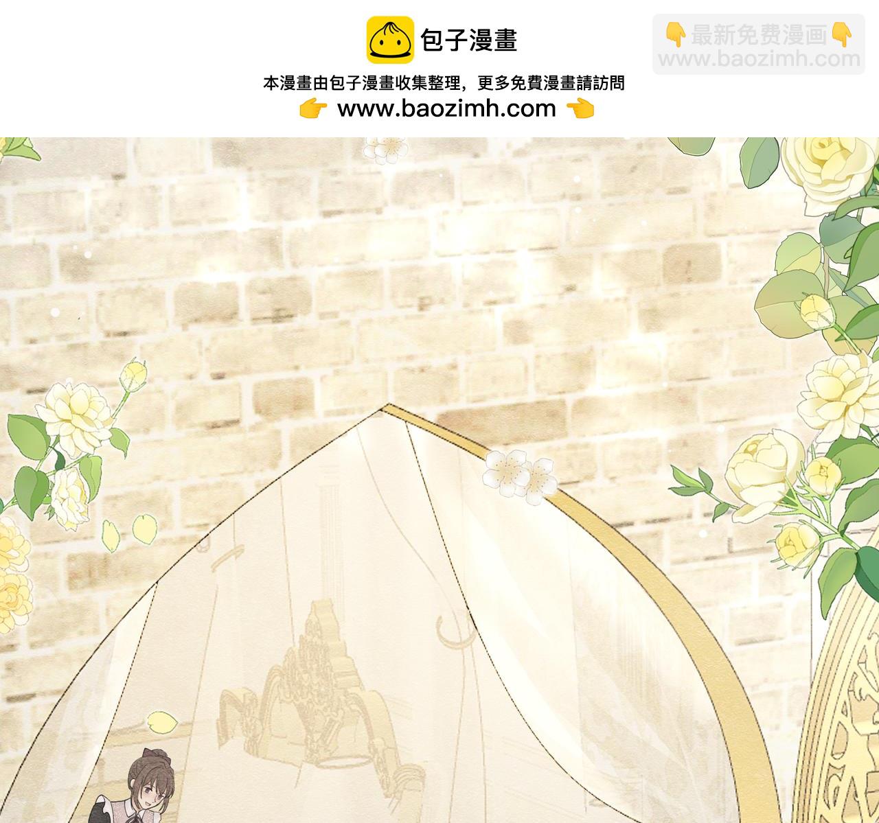 20 被确定的新娘（下）(1/3)-第21话