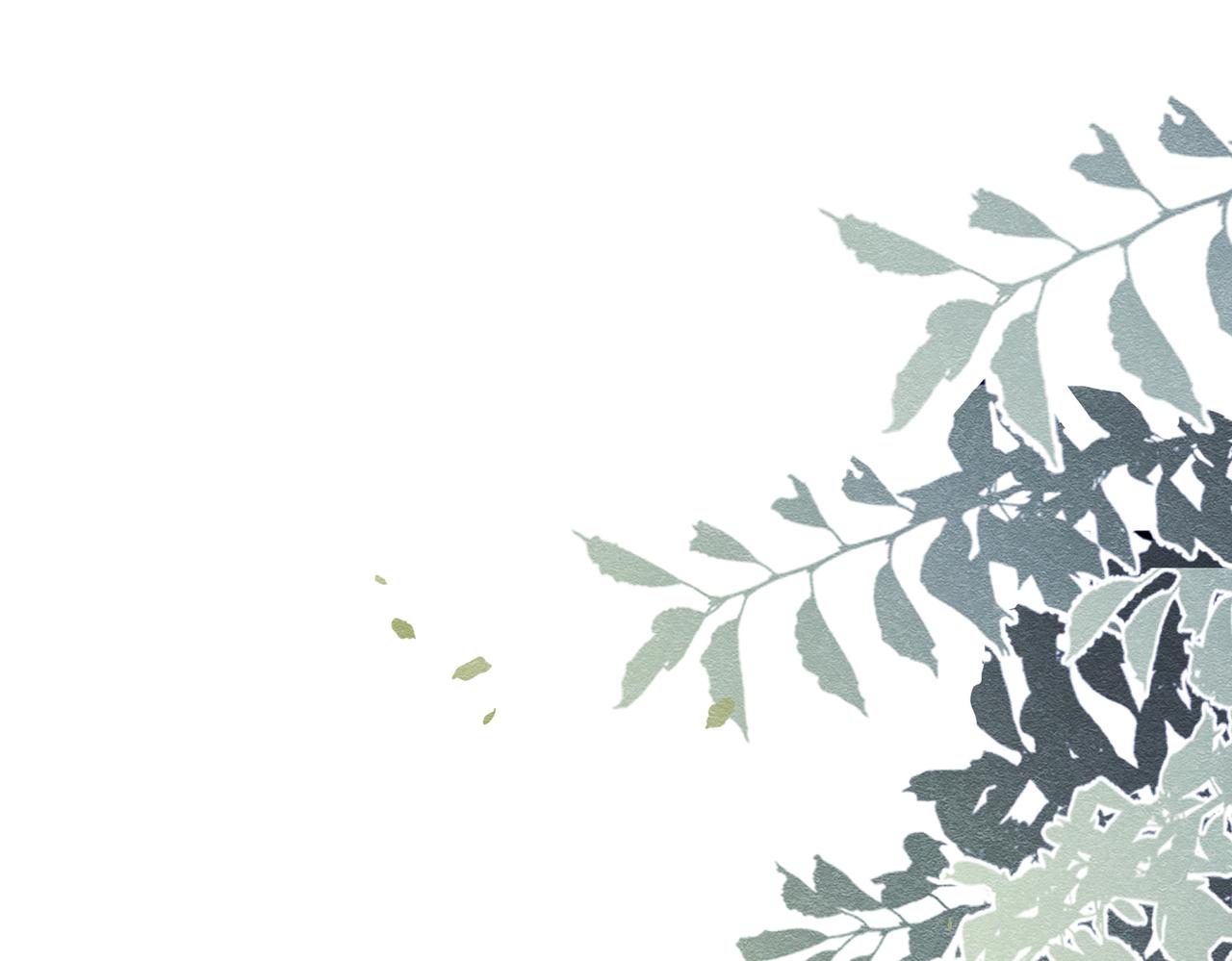 46 她很出名(1/3)-第47话