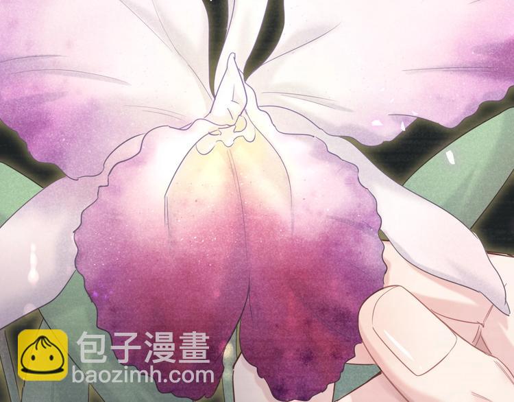 第2话 金丝雀想要逃！(1/3)-第3话