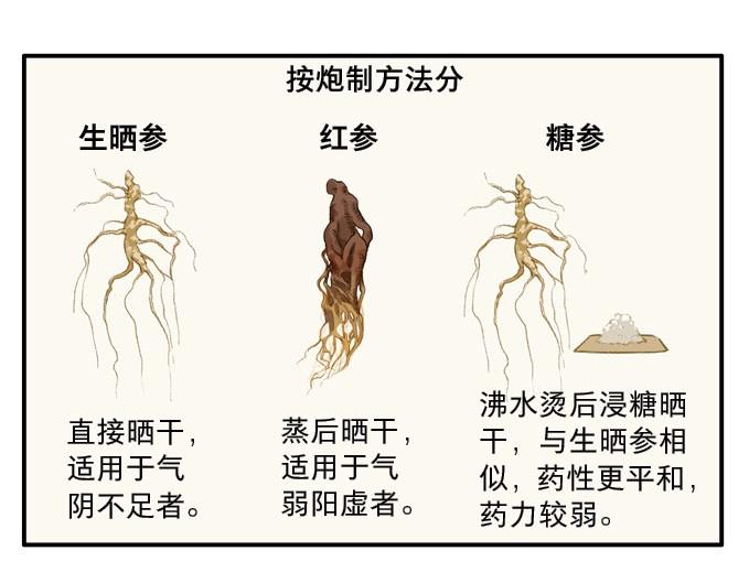 本草孤虛錄 - 第1話 無憂不記年（一）(2/2) - 5