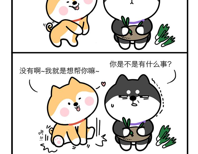 蠢得理直气壮-第19话