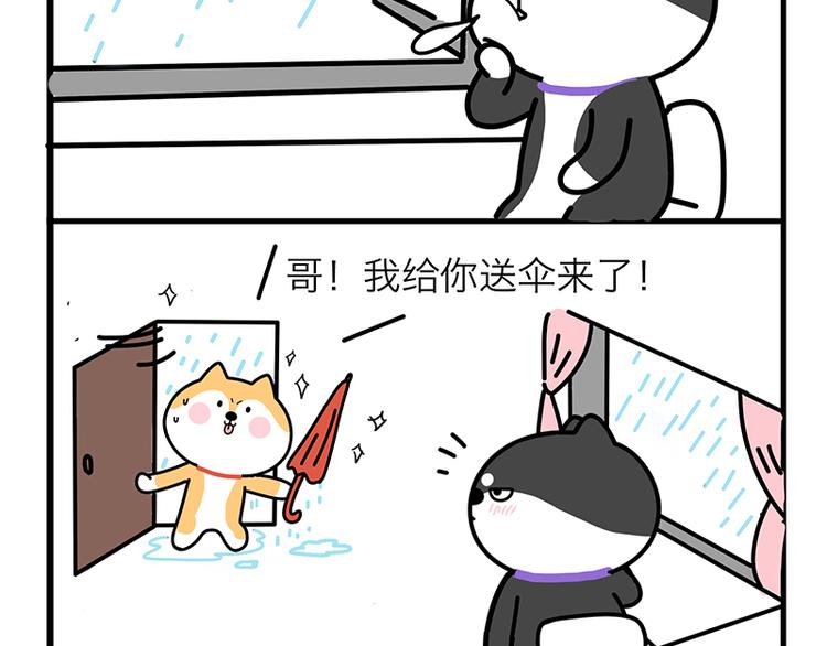 蠢得理直气壮-第19话