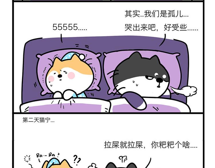 蠢得理直气壮-第19话