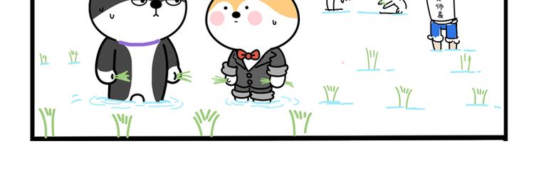 哥，问你个事儿-第25话