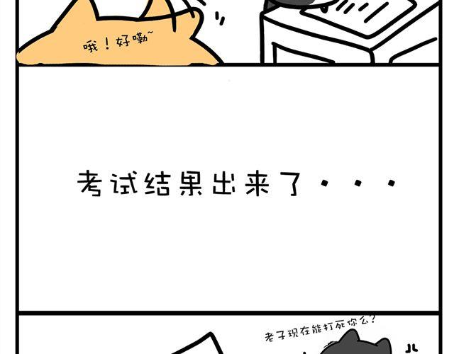 五个包子-第5话