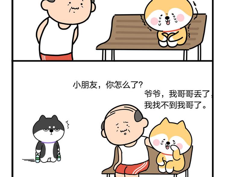 我哥丢了！-第47话