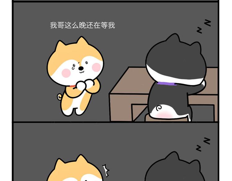 我哥丢了！-第47话