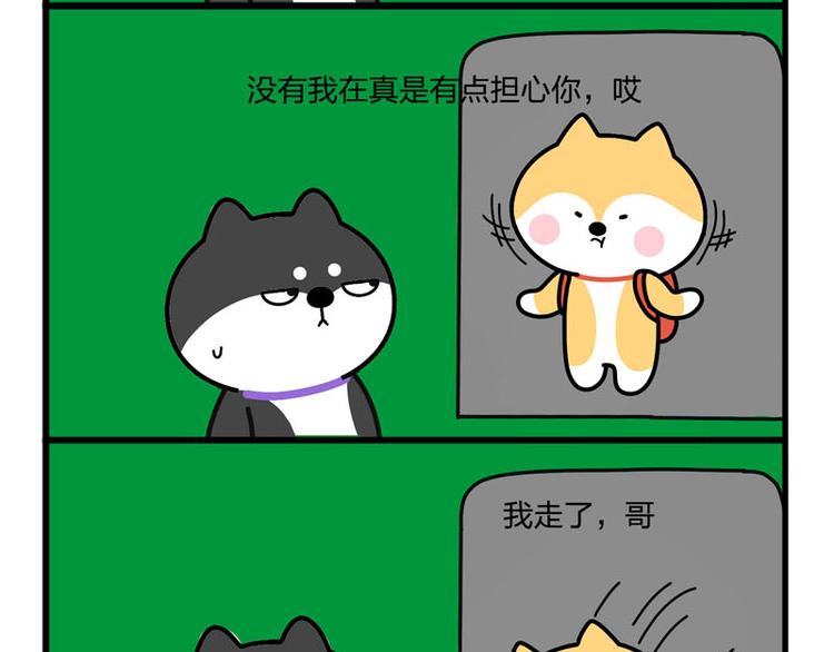 我哥丢了！-第47话