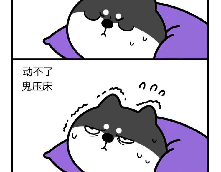 贴心的二柴-第51话