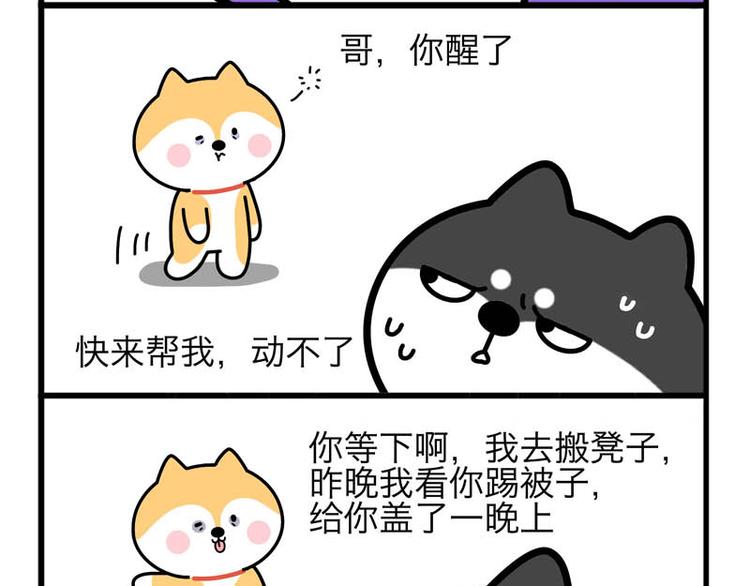 贴心的二柴-第51话