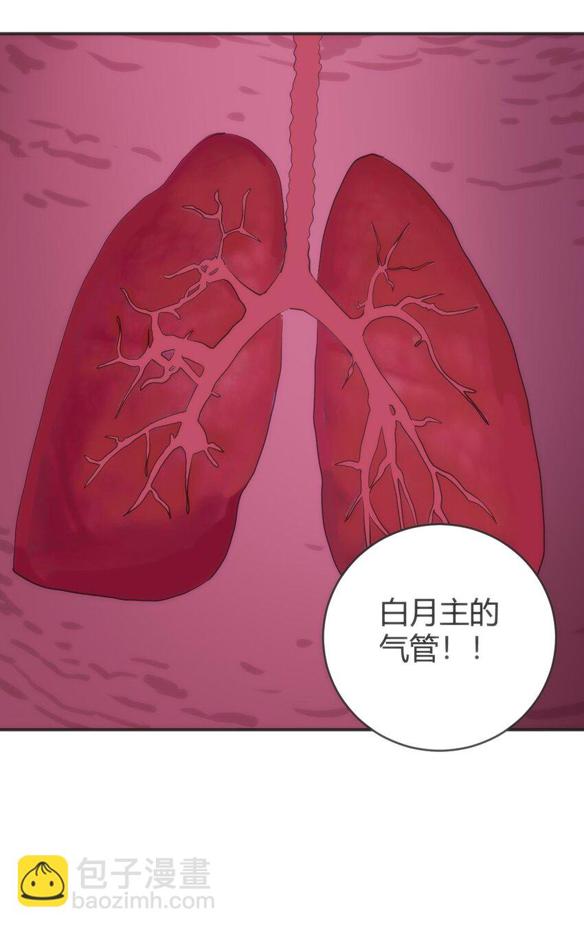 本聖女攤牌了 - 284 紫雷萬鈞(1/2) - 5