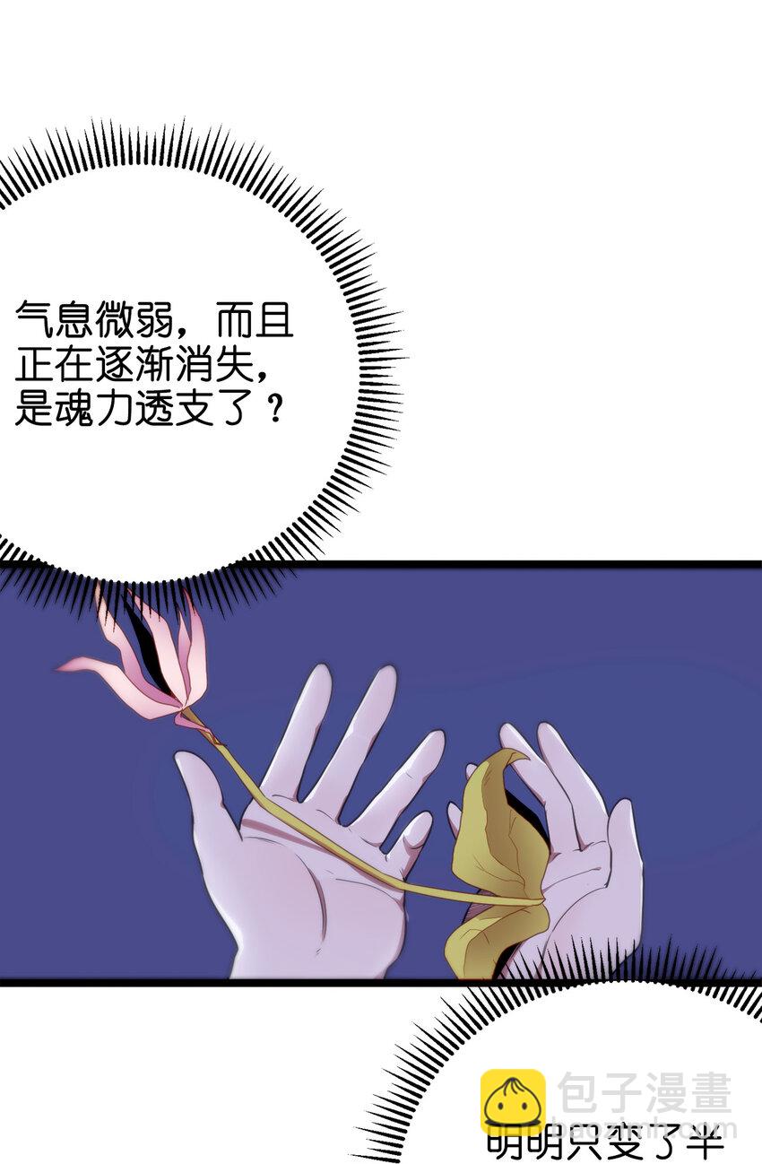 本聖女攤牌了 - 005 七星泰斗撼月狐(2/2) - 3