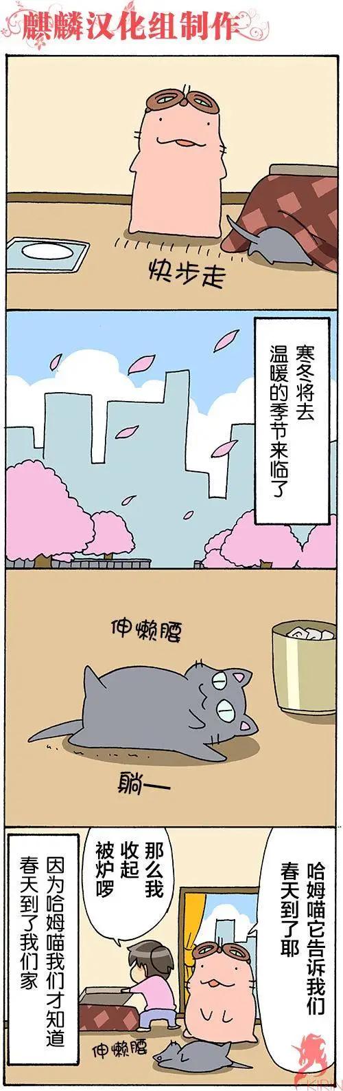 笨太的日常生活 - 第49-56回 - 1