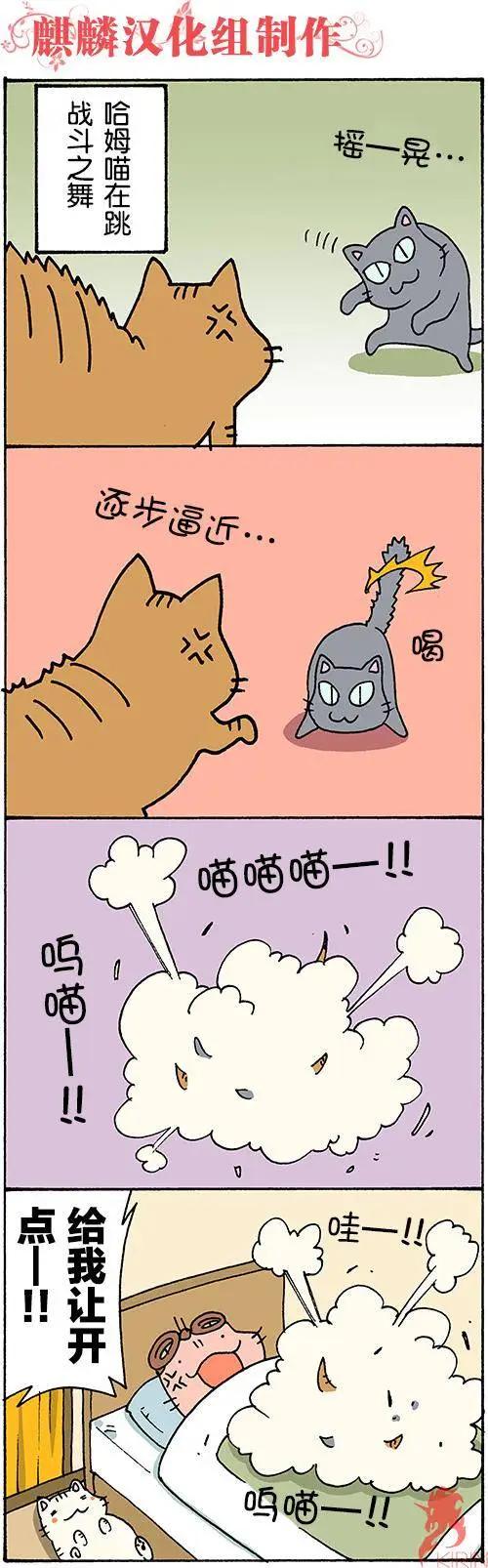 笨太的日常生活 - 第49-56回 - 1