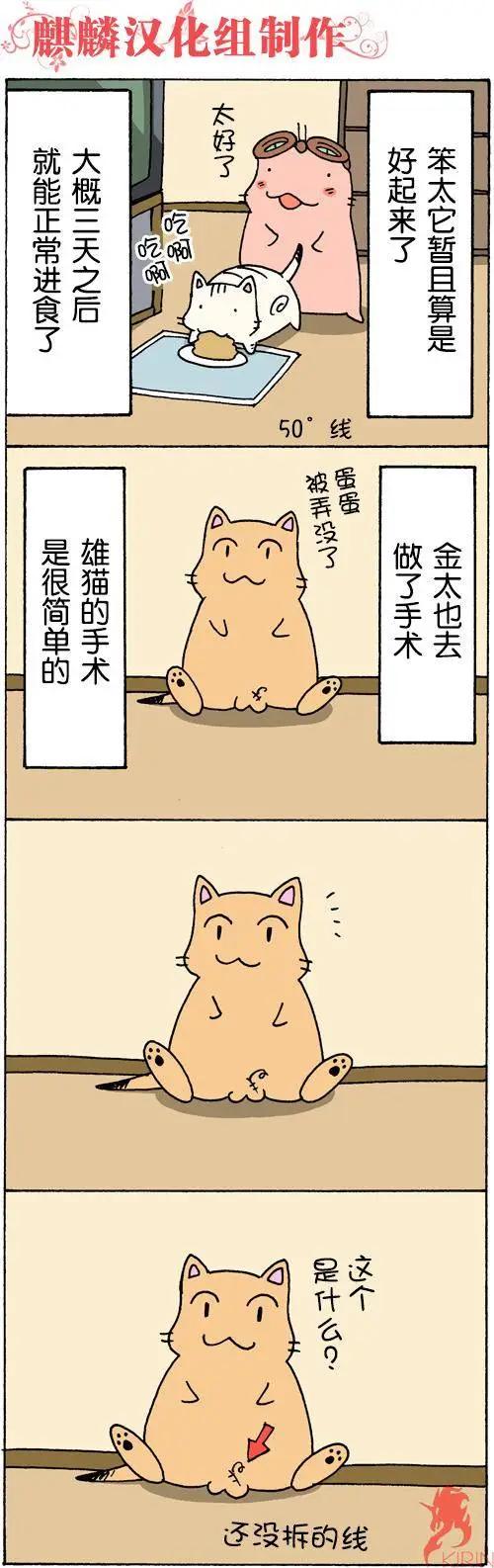 笨太的日常生活 - 第49-56回 - 4